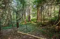 3530 142A STREET - thumbnail 21