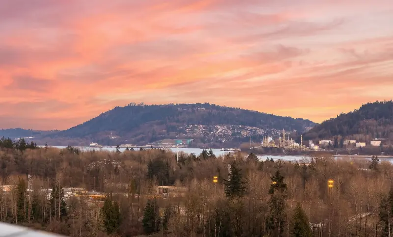 1705 1401 HUNTER STREET - photo 4 of 25