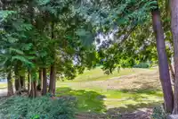15012 SOUTHMERE CLOSE - thumbnail 35