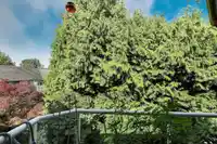 302 15342 20TH AVENUE - thumbnail 23