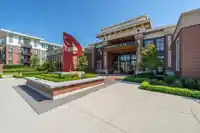 317 15137 33 AVENUE - thumbnail 23