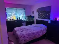 303 1354 WINTER STREET - thumbnail 6