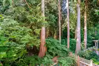 7 253 171 STREET - thumbnail 16